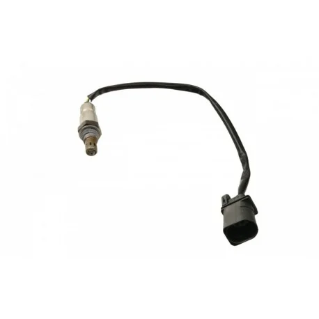 motone-36247366