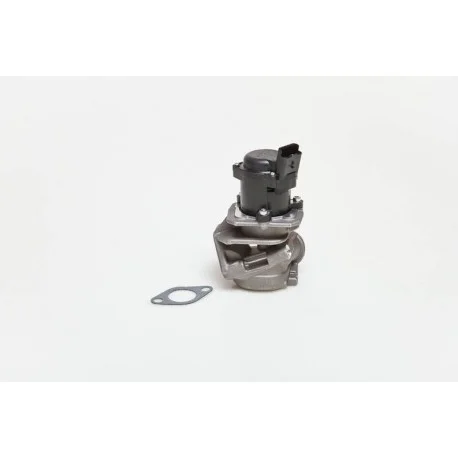 motone4964380