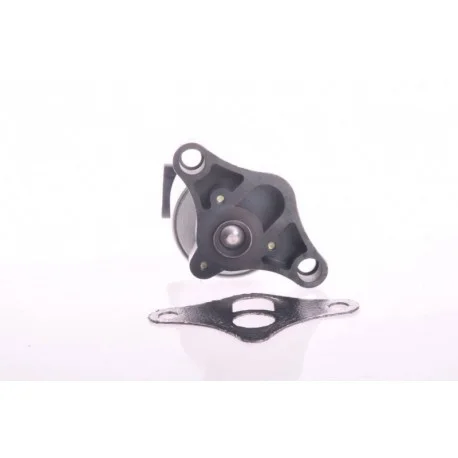 motone4964408