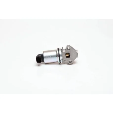 motone4964694