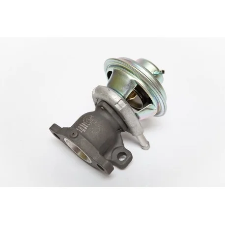 motone4965873
