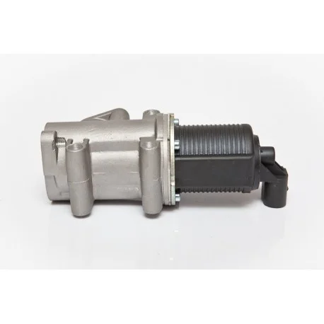 motone4966263