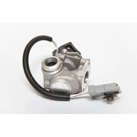 motone4966727