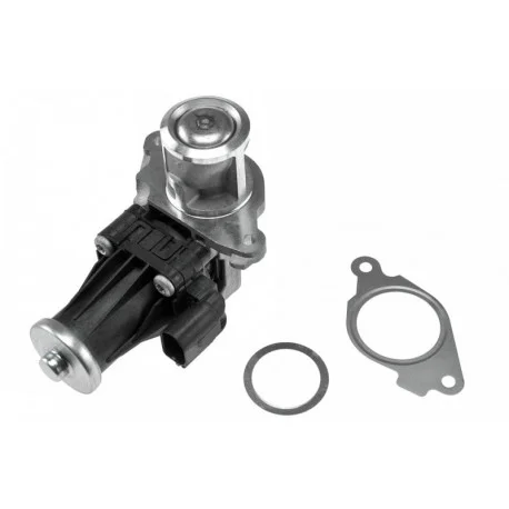 motone4967626