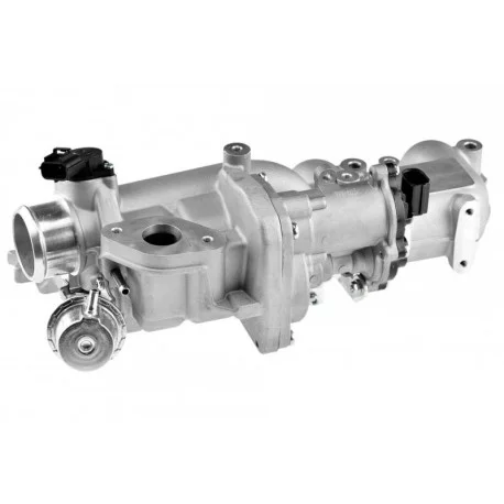 motone4967838