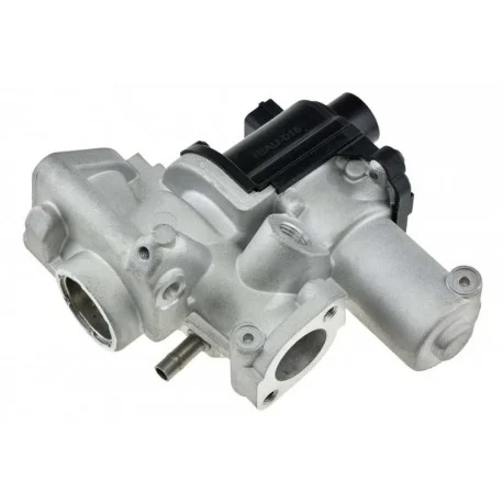 motone4968038