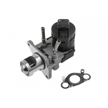 motone4968086