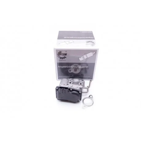 motone4968898