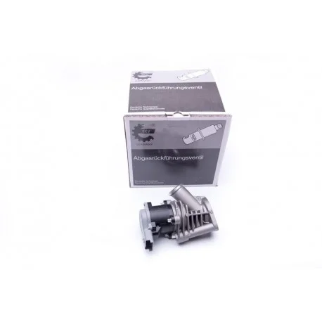 motone4969666