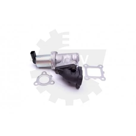 motone4971161