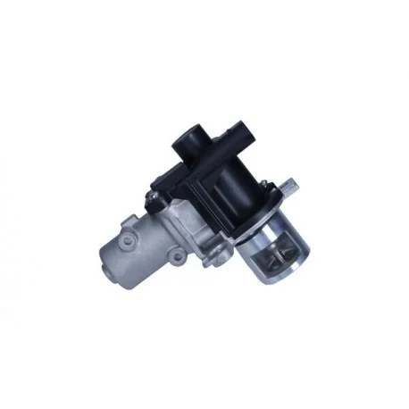 motone4971807