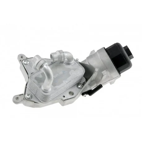 motone5158252