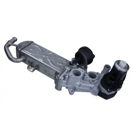 motone5332281