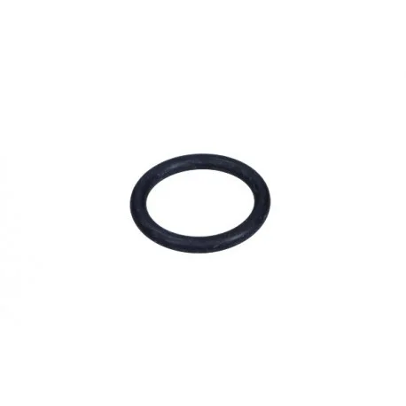 motone5362944