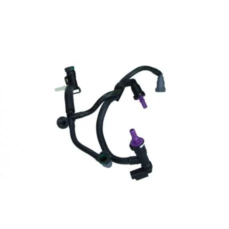 motone5475248