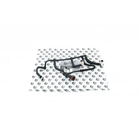 motone5563526