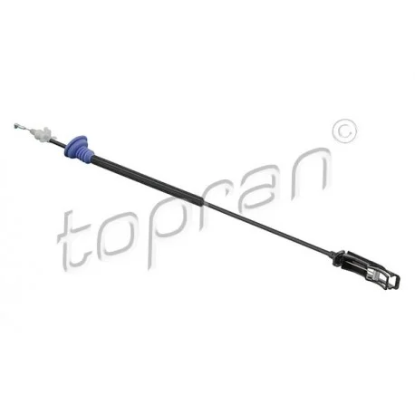 motone5587650