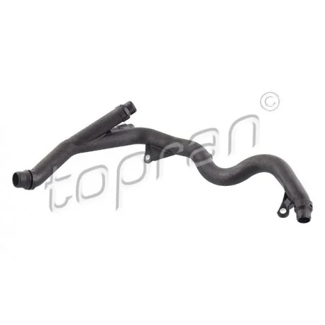 motone5595032
