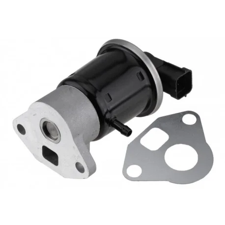 motone5691984